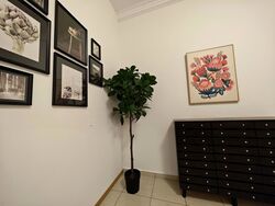 The Sunny Spring (D14), Apartment #530554691